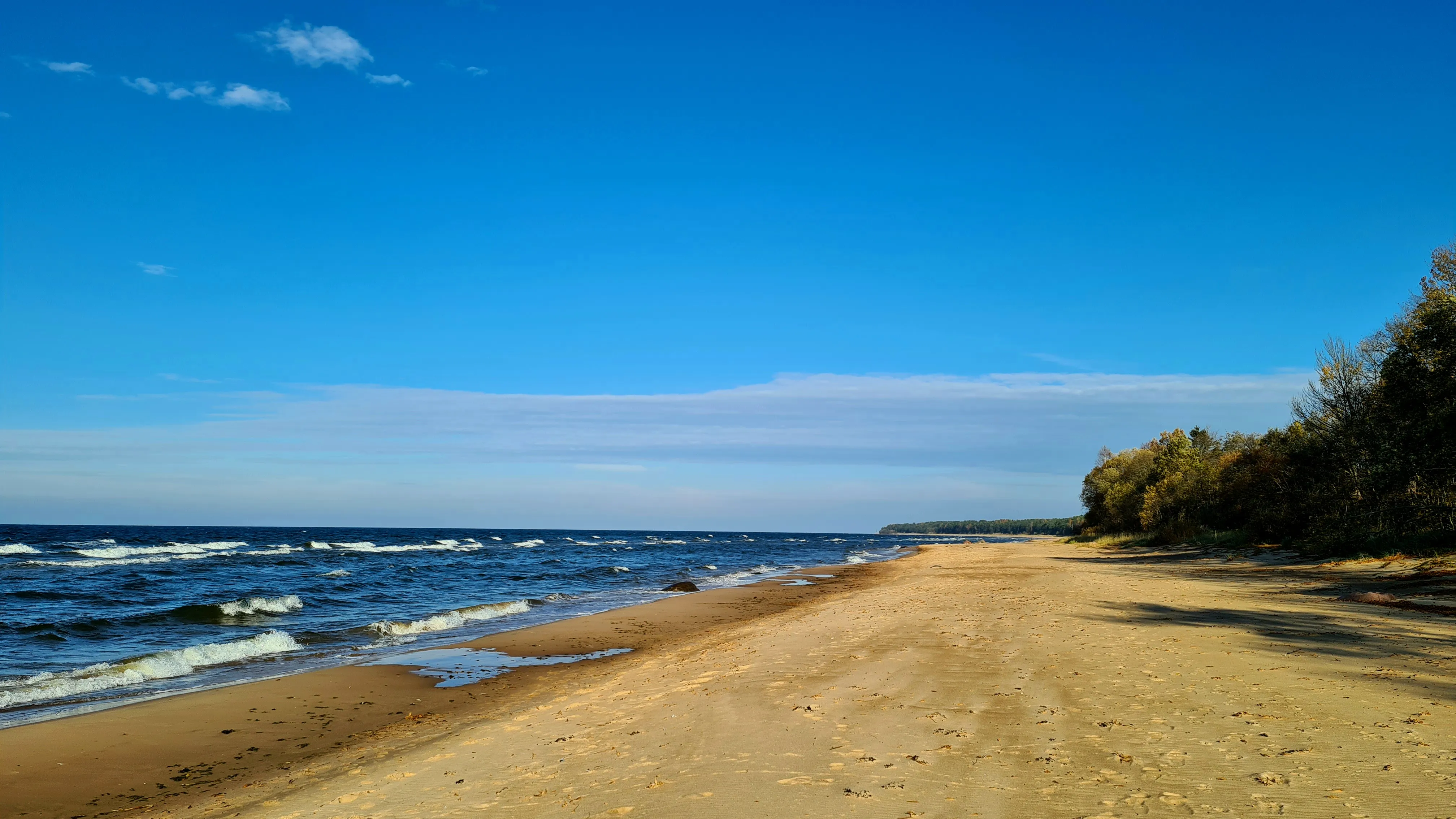 Sandy beach lined by forest under a clear blue sky