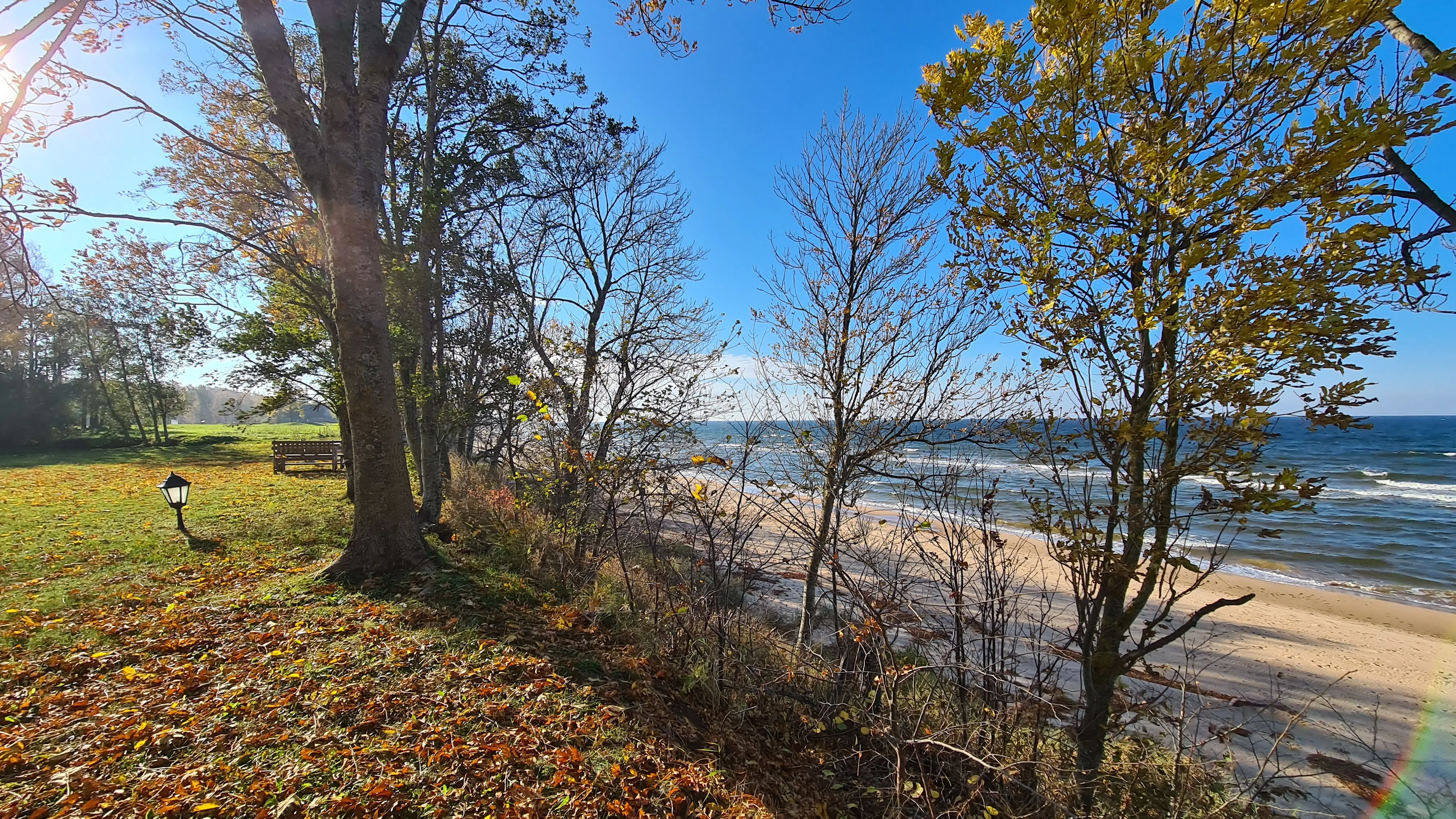 Grassy shore with trees looking out over the beach and the sea
