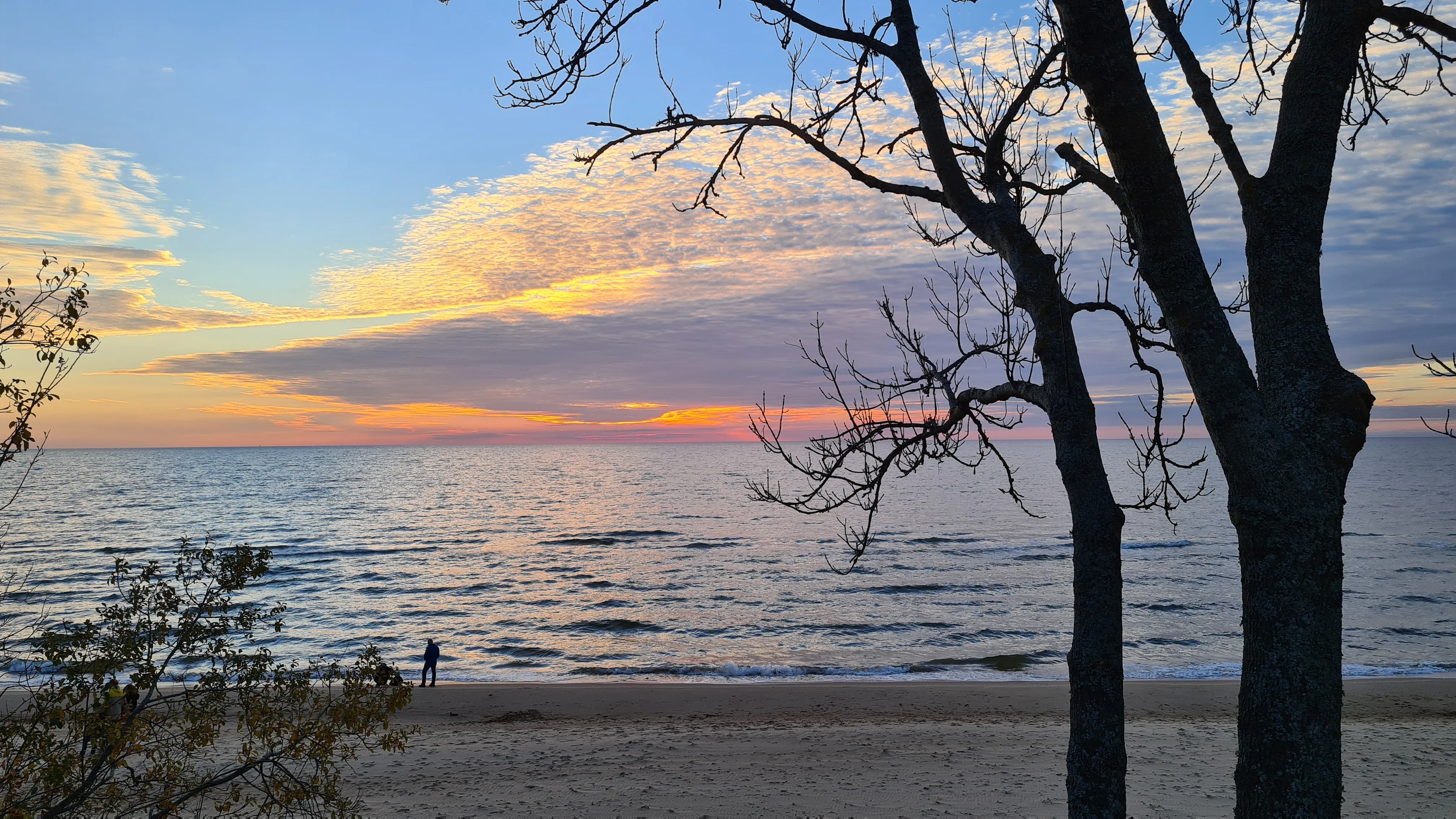 Sunset over the sea with a silhouetted tree on the shore